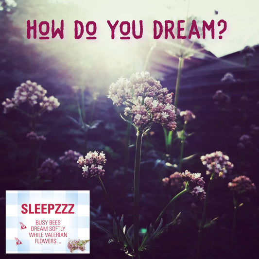What's REM sleep? How do you dream?